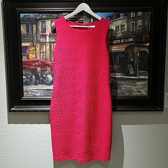 Calvin Klein Dresses & Skirts - Calvin Klein Sexy Bold and Sleeveless Dress